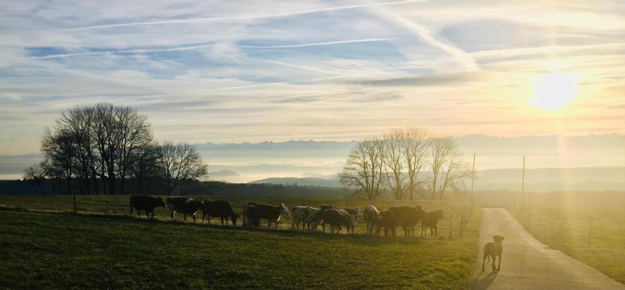 La Ferme De La Praz B&B ภายนอก รูปภาพ
