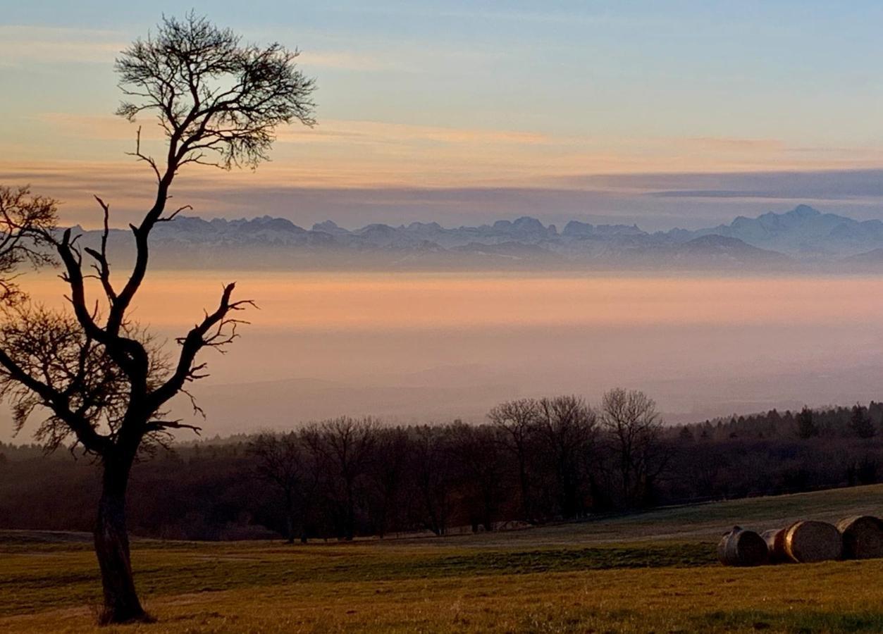 La Ferme De La Praz B&B ภายนอก รูปภาพ